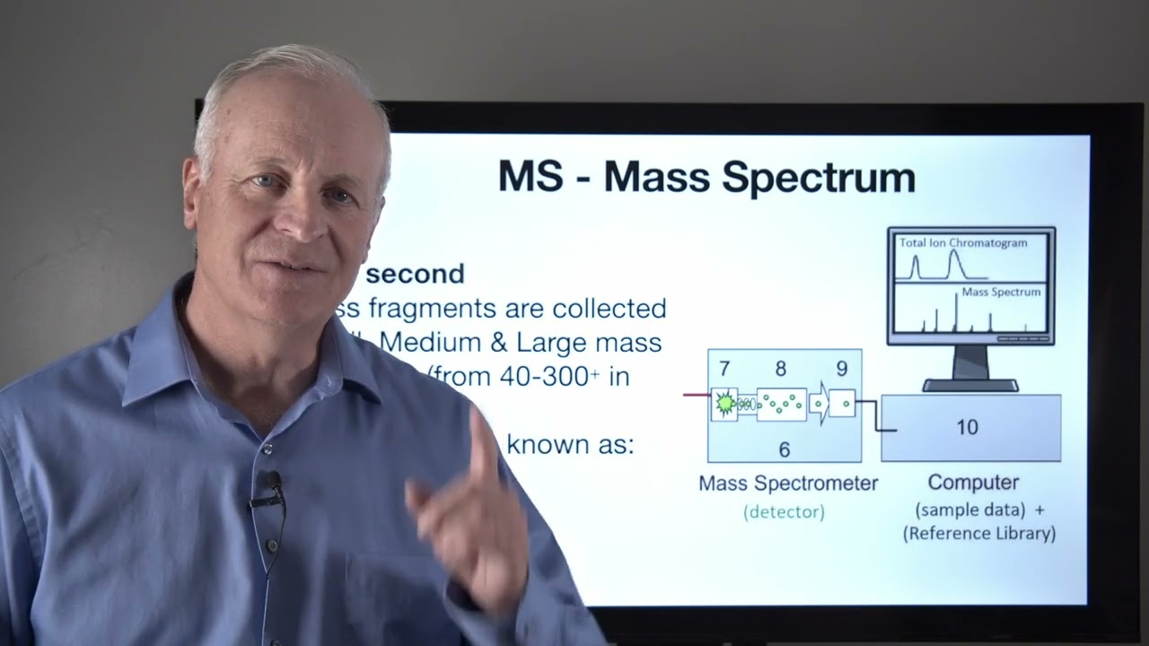 GC-MS 3   Understanding MS Principles