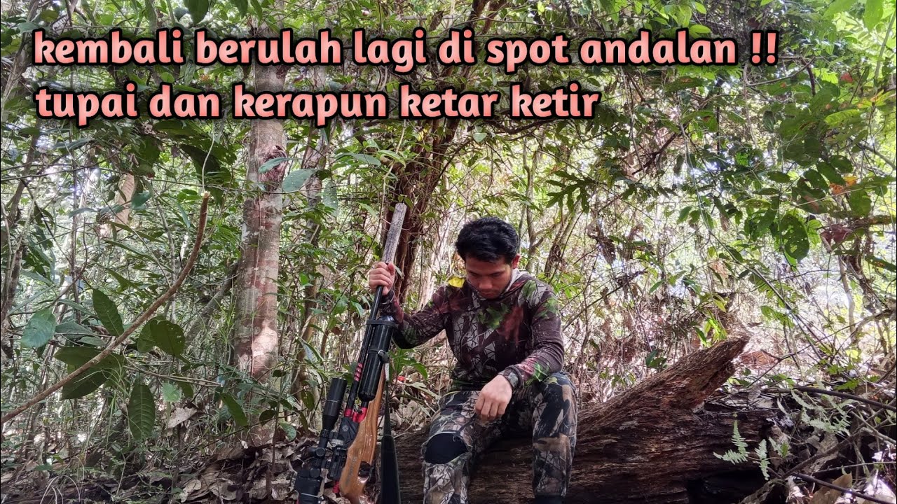 Kembali berulah lagi di spot andalan !! #tupai dan kerapun ketar ketir