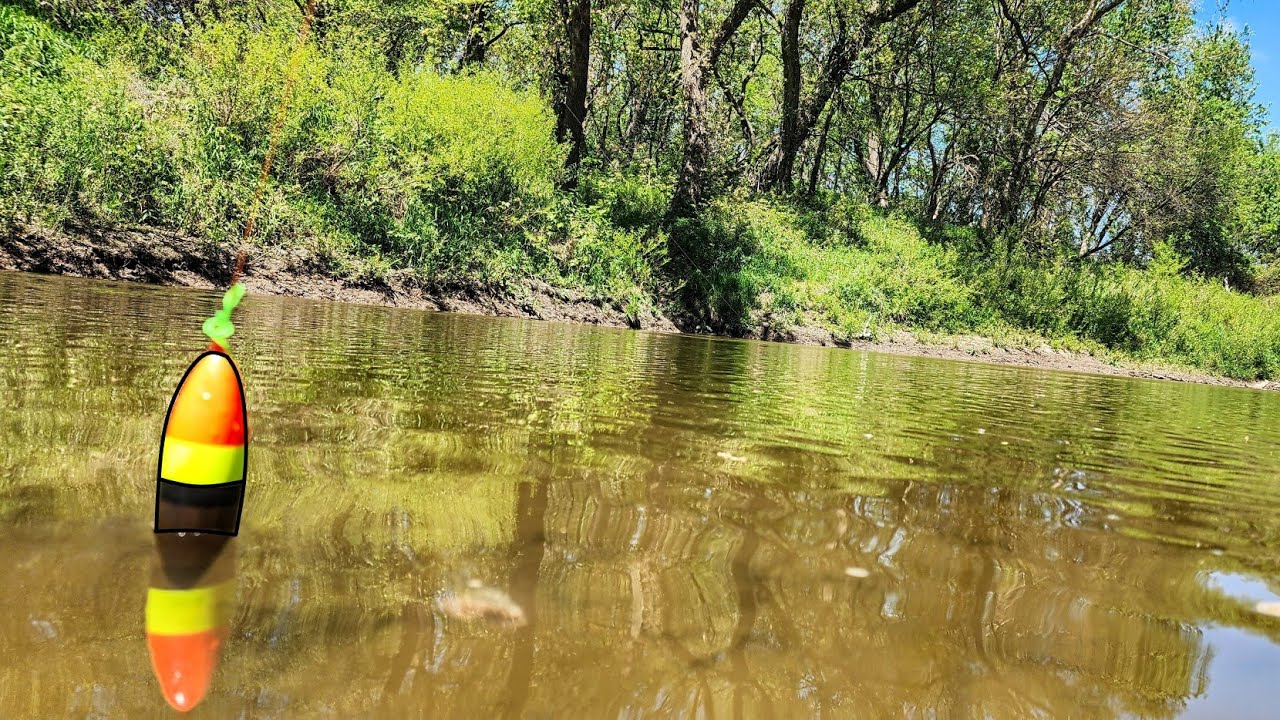 BOBBER Fishing A CREEK!!! (It was loaded)
