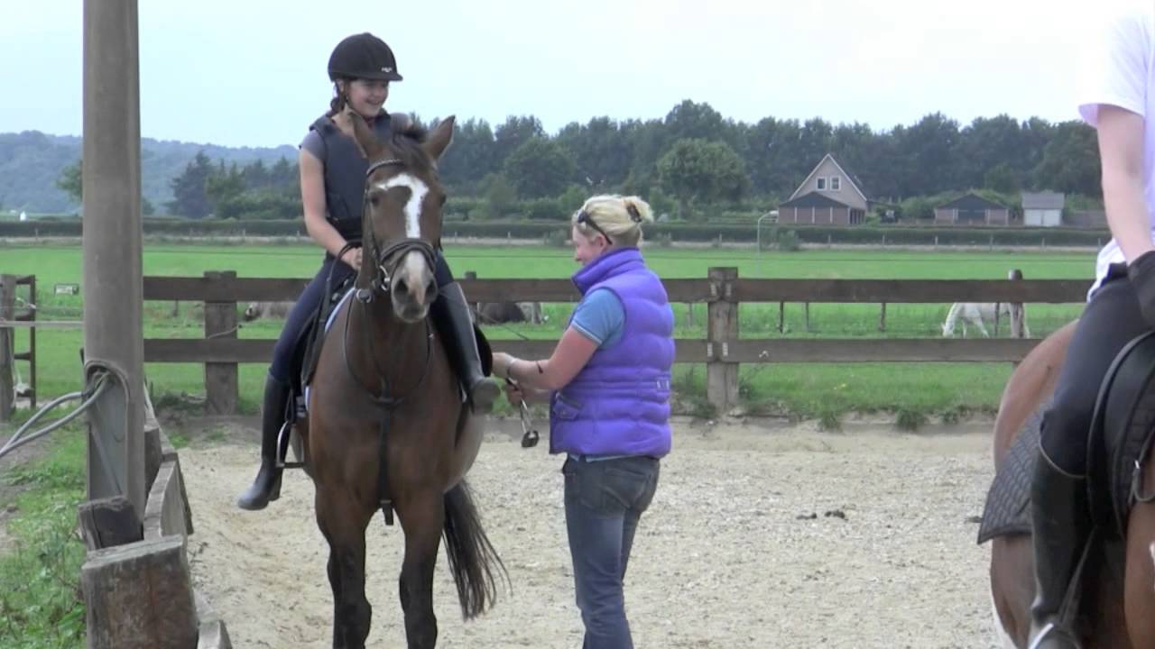 Springles Marijke, Marie Kouws en Aaron 2011