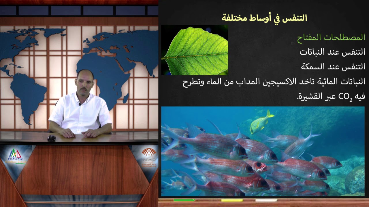 2. التنفس في أوساط مختلفة