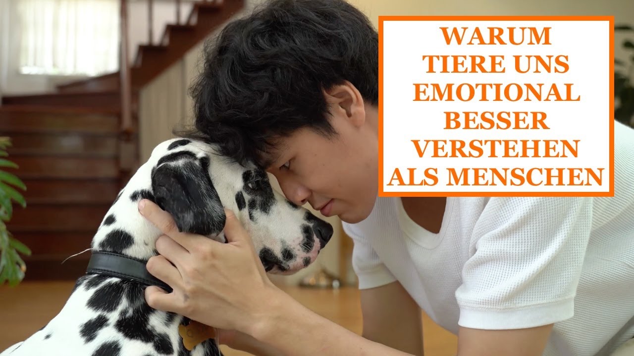 WARUM TIERE UNS EMOTIONAL BESSER VERSTEHEN ALS MENSCHEN