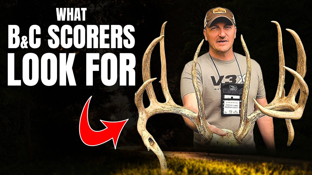 Inside the Mind of a Boone & Crockett Scorer | w/ Cameron Coble