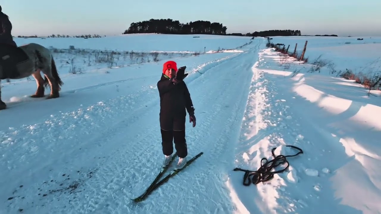 Snow Ice and Horse