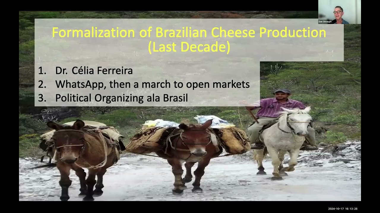 Latin American Flavors: Exploring Cheese Traditions - Brazil