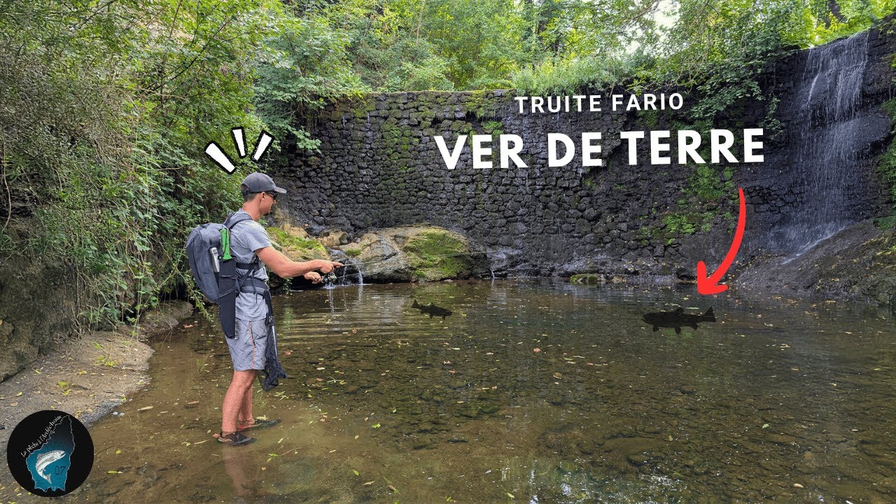 TRUITE au VER dans un ruisseau d’Ardèche