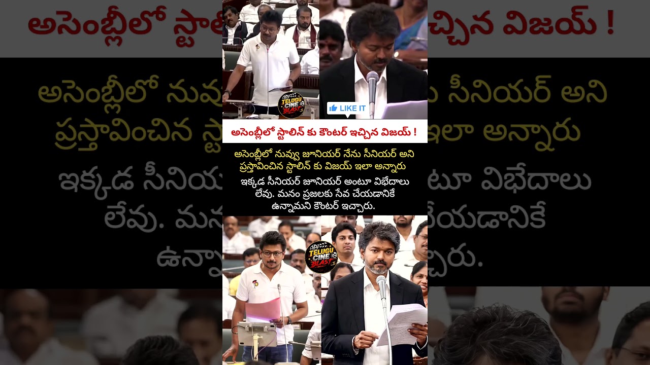 స్టాలిన్ కు దిమ్మతిరిగే షాక్ ఇచ్చిన విజయ్.! #trendingnow#viral#shorts#vijay#stalin#stalinspeech#cm.
