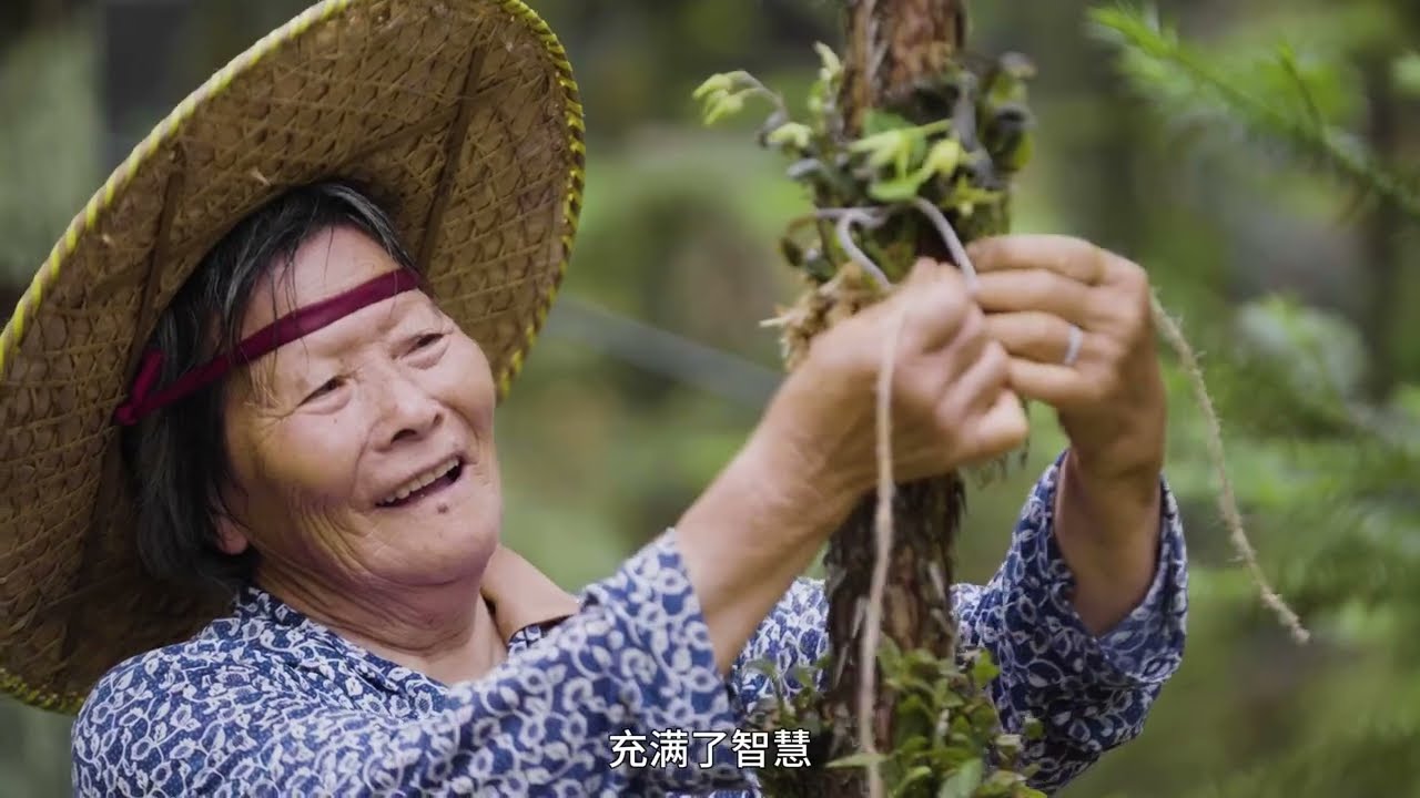 第一集《央視導演眼中的紐崔萊之萬物有靈》