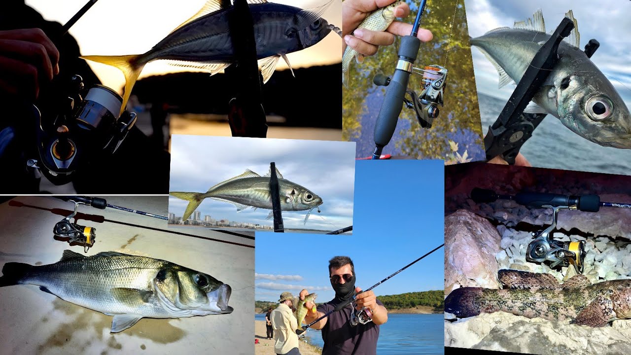 YAMAGA BLANKS İLE SABAH SUYU PERCH AVI.
