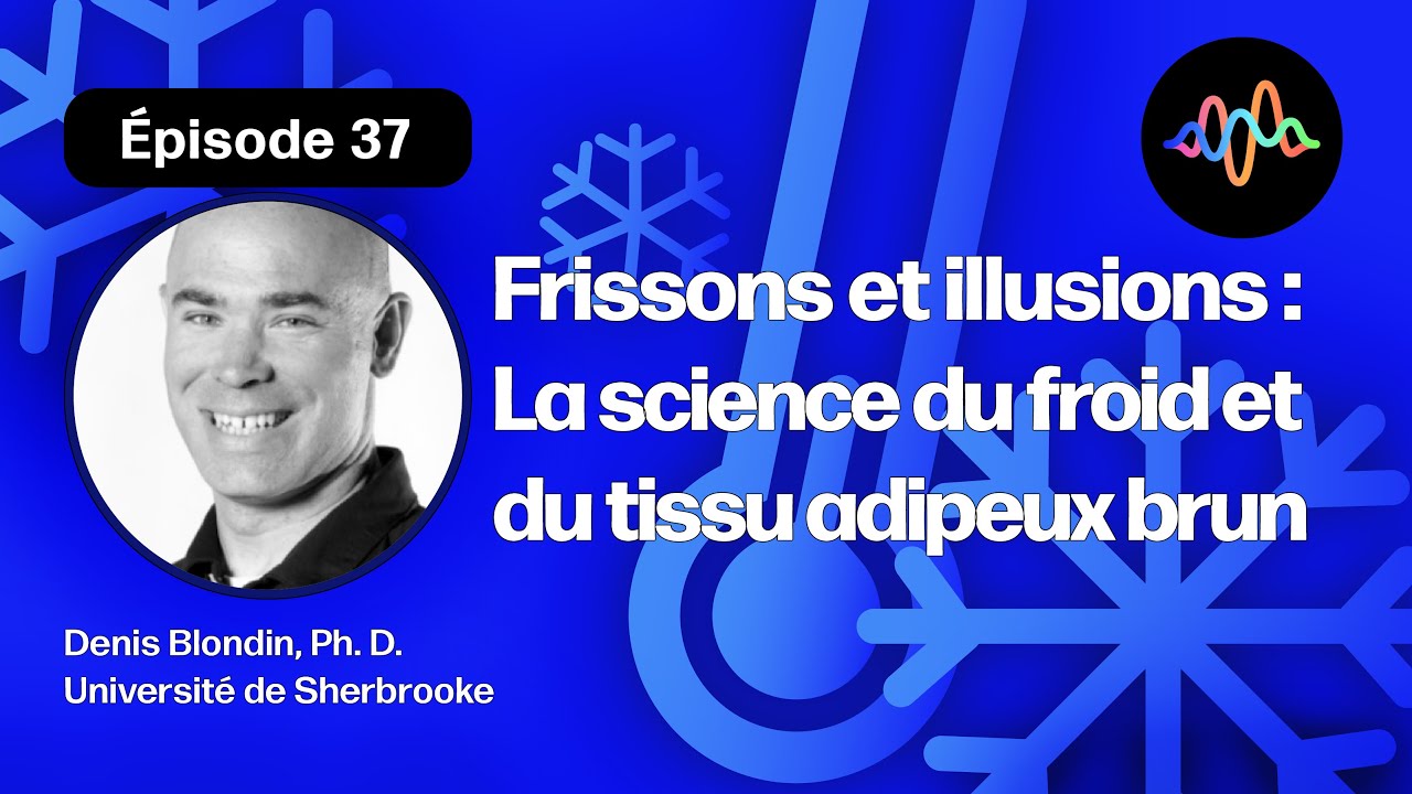 #37 - Frissons et illusions : La science du froid et du tissu adipeux brun (Denis Blondin)