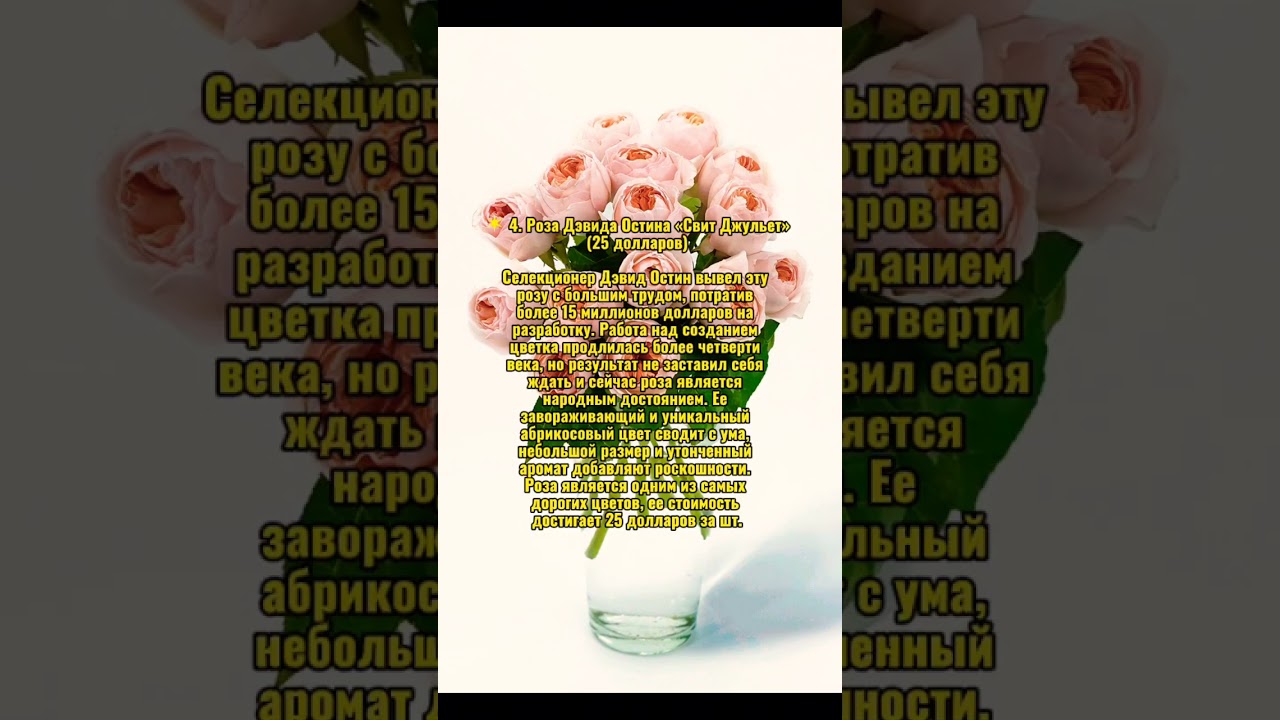 Топ 10 самых дорогих цветов в мире #top10news #subscribe #support #thanks #подпишись #спасибо