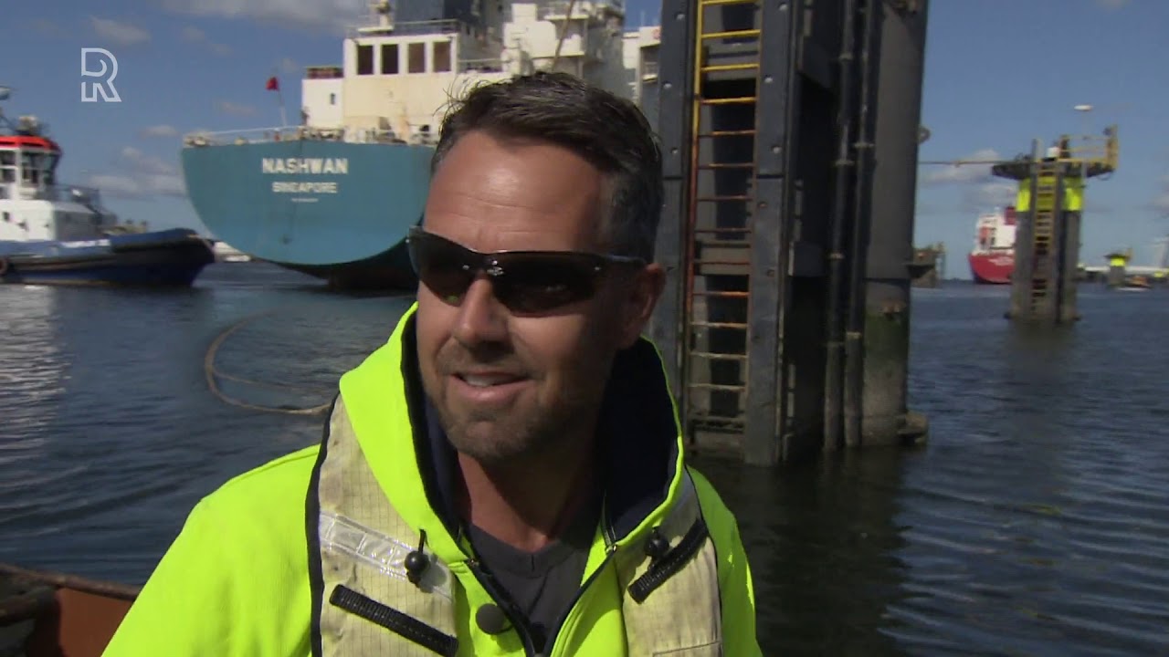 Roeiers in de Rotterdamse haven