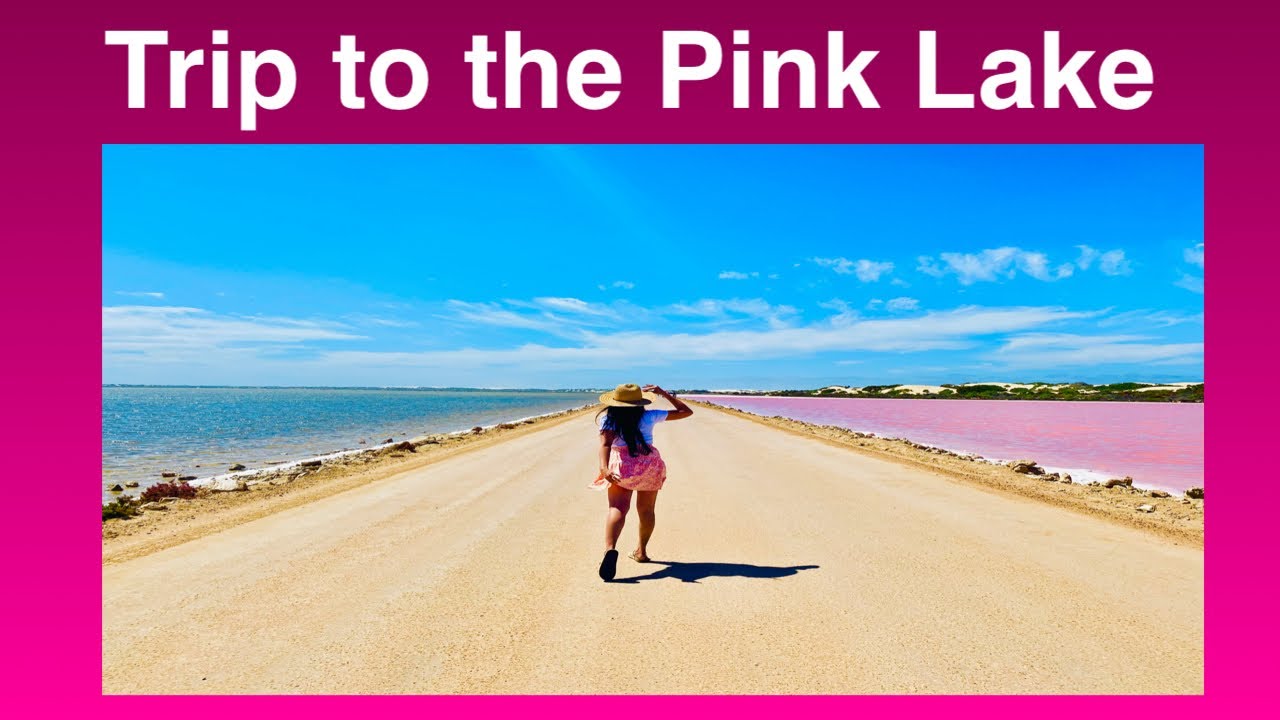 Trip to the Pink Lake | Lake MacDonnell | Darlyn Jame