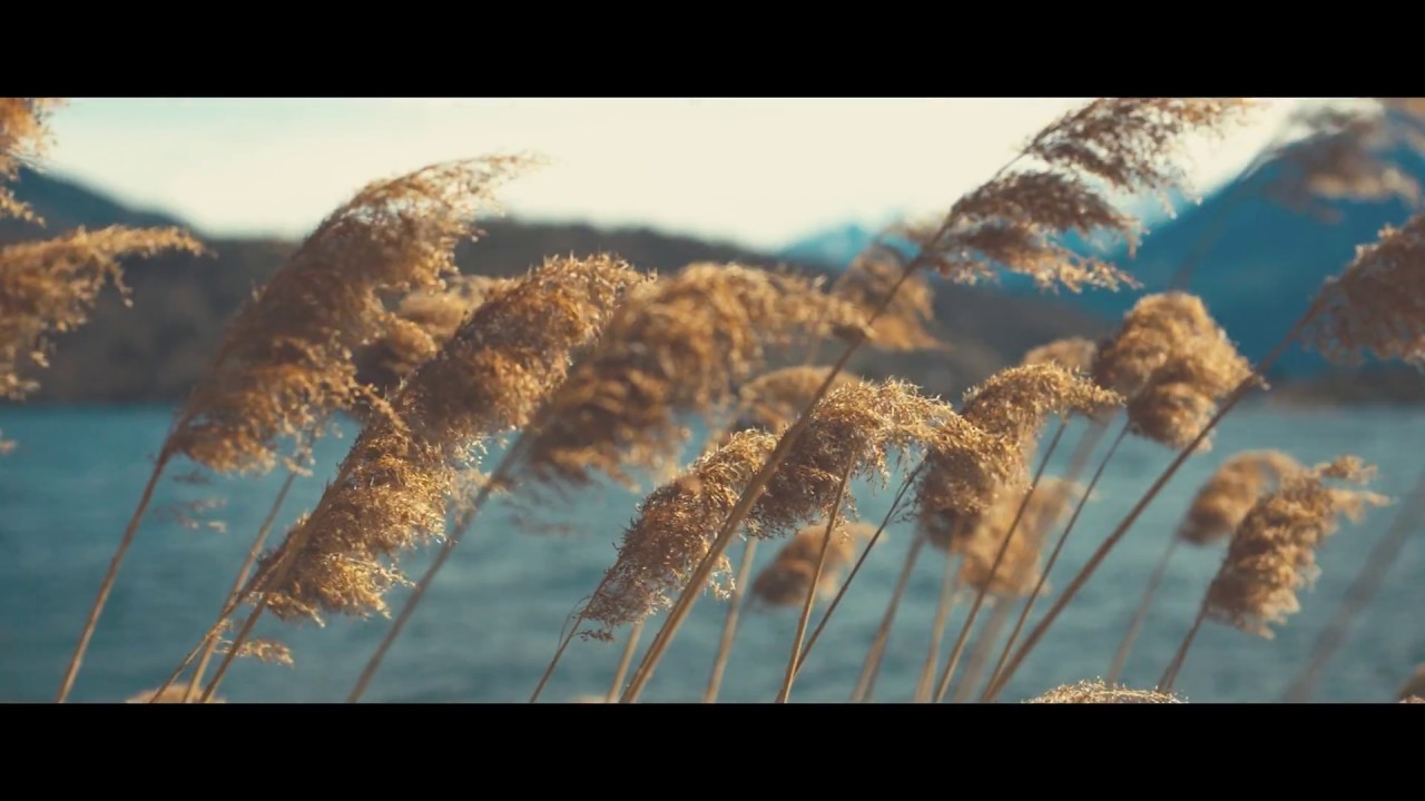 WAIRA - Nothing To Lose [Official Video]