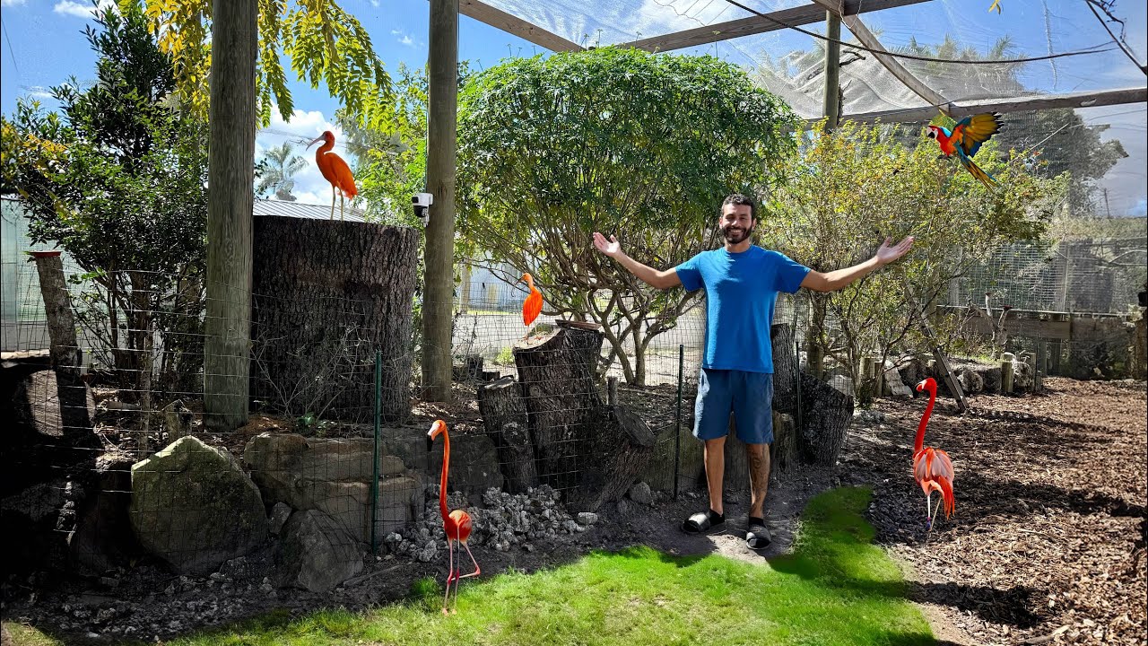 RELEASING My New RARE BIRDS In The AVIARY!
