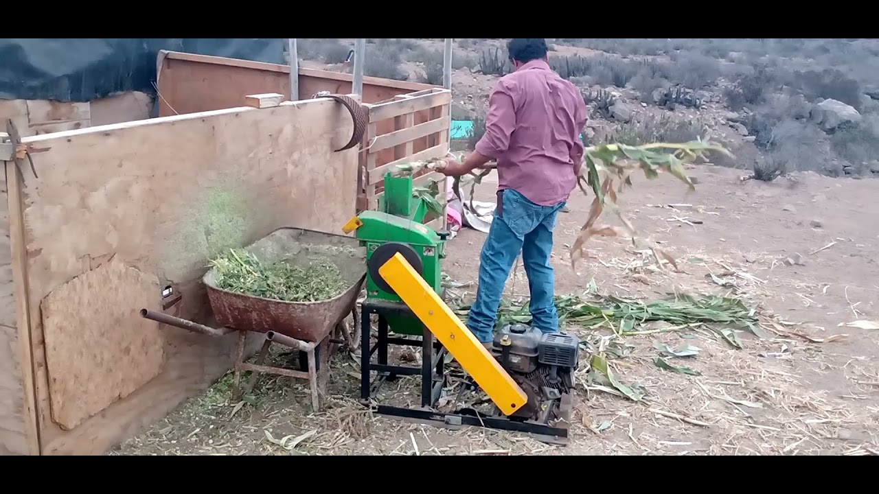 Trituradora de forrajes para cabras!