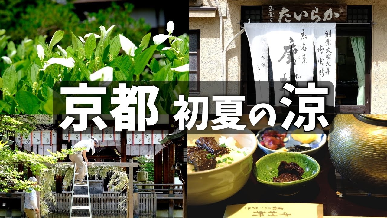 京都の初夏🍃夏越の大祓 茅の輪作り / 桂うりのかき氷 / 両足院の半夏生 / 祇園白川の紫陽花 / 上御霊神社  / 中村軒　京都旅行 京都観光