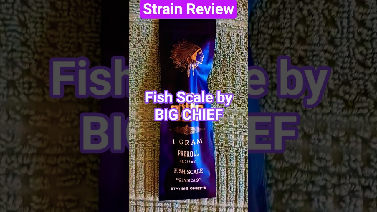 Strain Review: Fish Scale by BIG CHIEF #review #strain #medical #newyork #shorts #youtubeshorts #bud