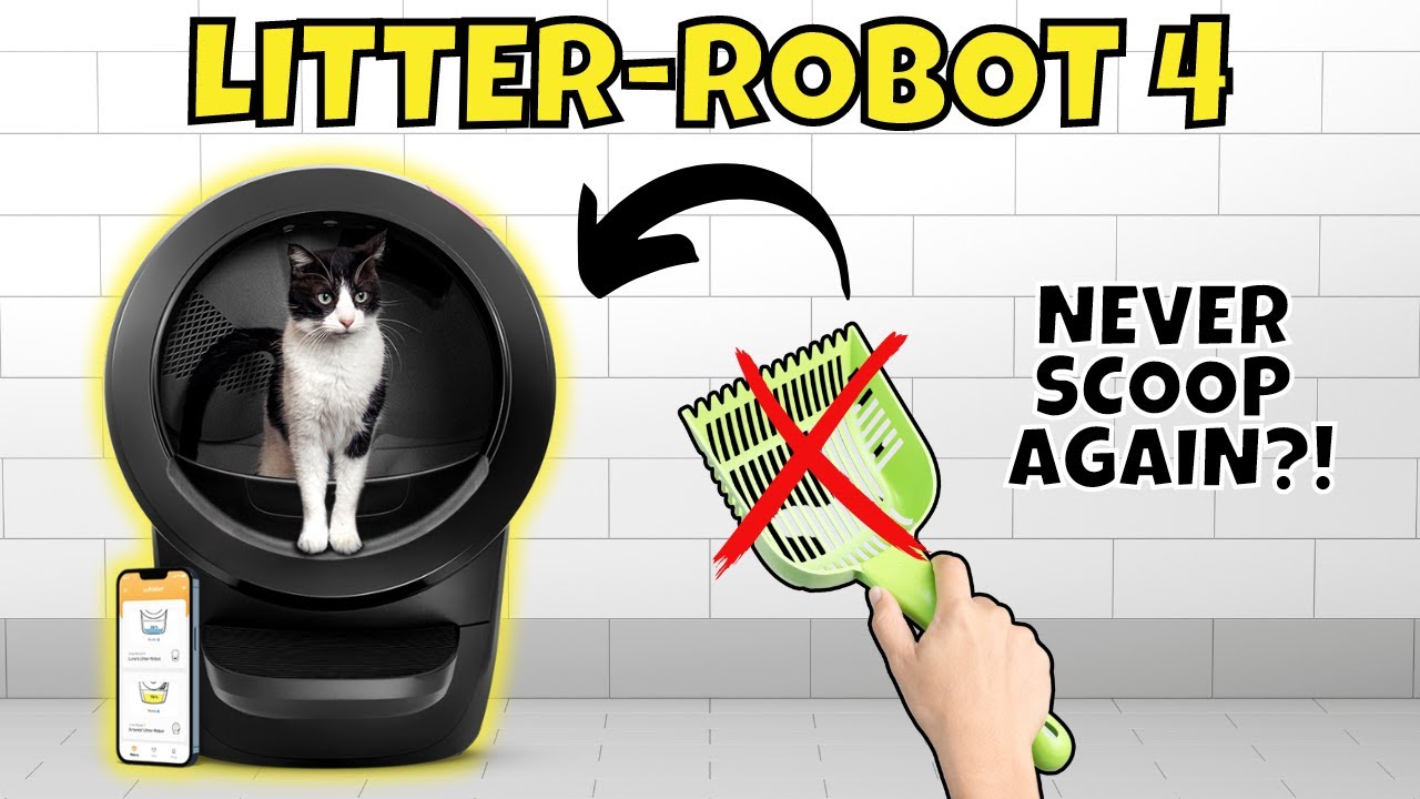 Litter-Robot 4 Review | Is This $699 Litter Box Worth It?