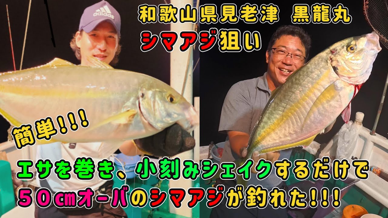 【和歌山県見老津沖 シマアジ狙い】世界で一番バラしやすい魚を釣ってきた!!!