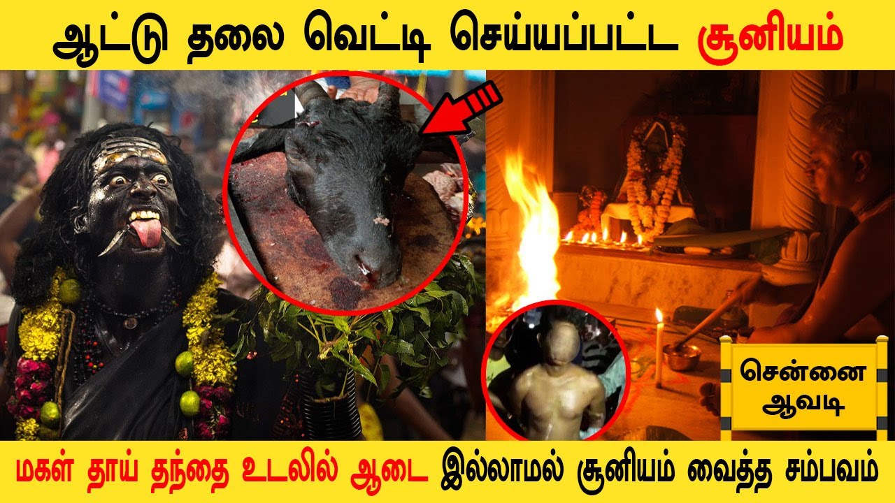 ஆட்டு தலை வெட்டி செய்யப்பட்ட சூனியம் | அமானுஷ்ய உண்மை நிகழ்வு | #GhostIncident | Back to rewind