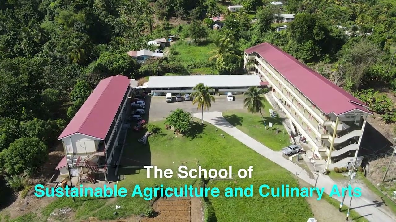 TVET -  4 Schools Transformed