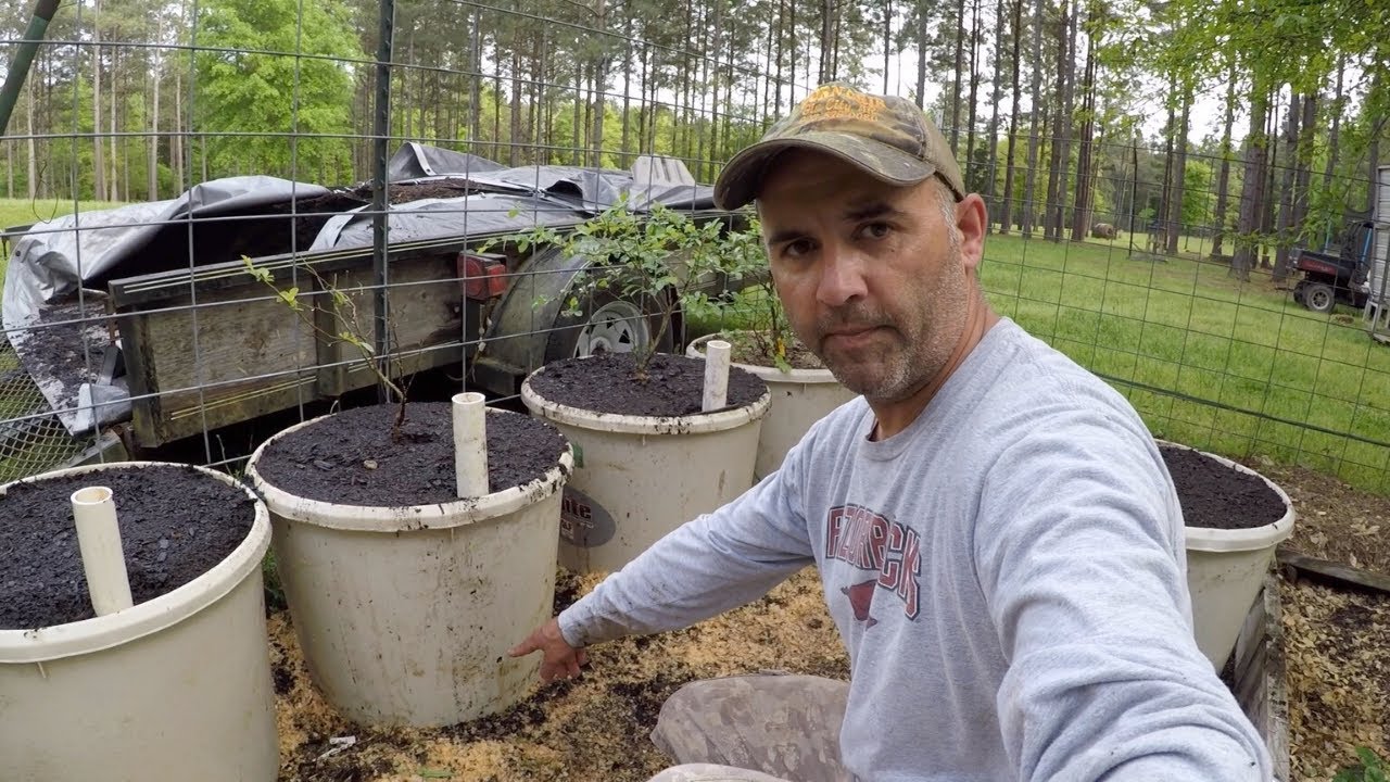 How to Build the BEST Self Wicking Containers! DIY Self Watering Tubs