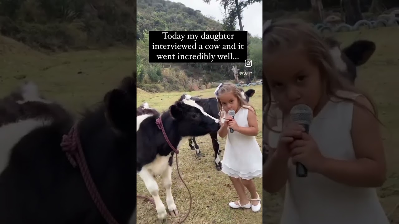 Girl interviews cow? 🐮🤔🐕&zwj;🦺 | Canine Companions #shorts #dog #shortsvideo  #goldenretriever