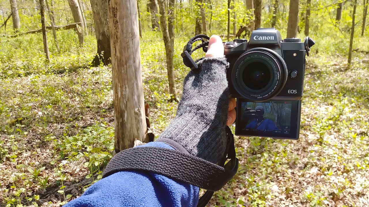 Go APS-C For A full Camera Kit Talk & Photo Vlog