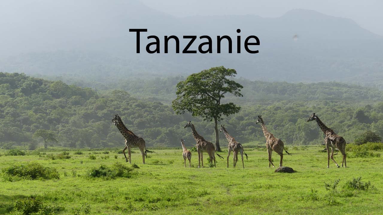 Notre voyage en Tanzanie