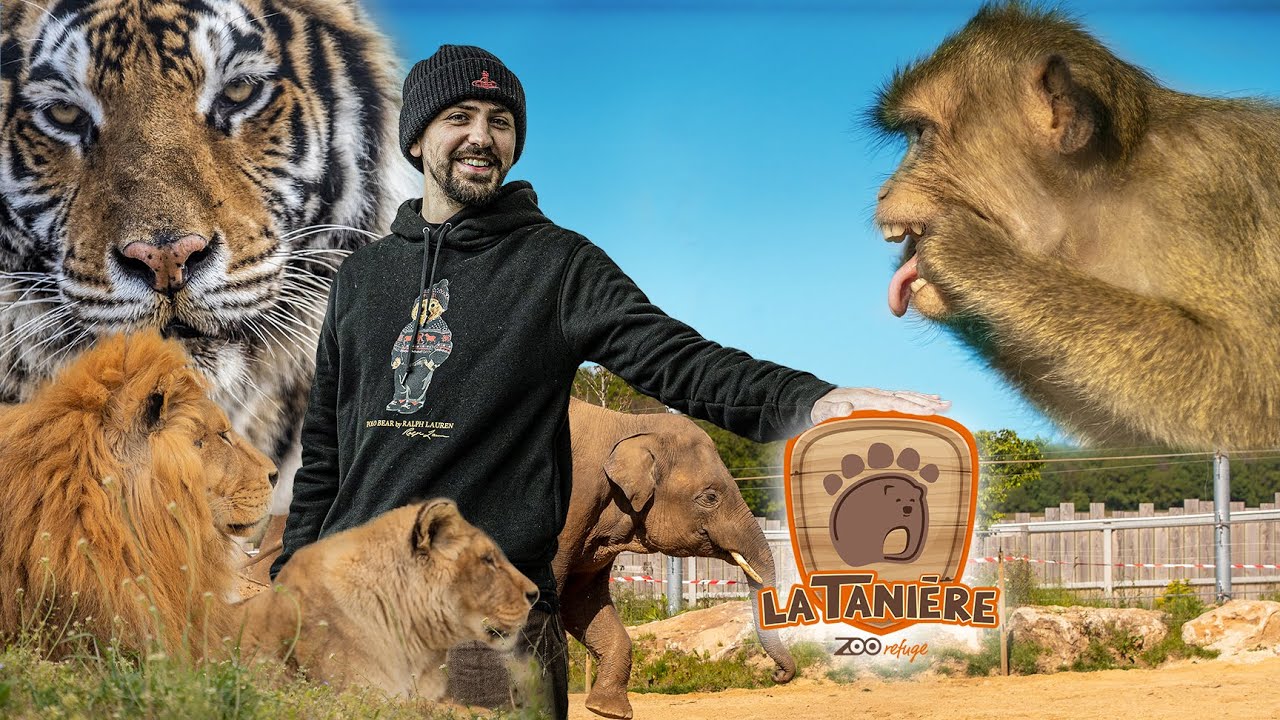 JOYCA à La Tanière