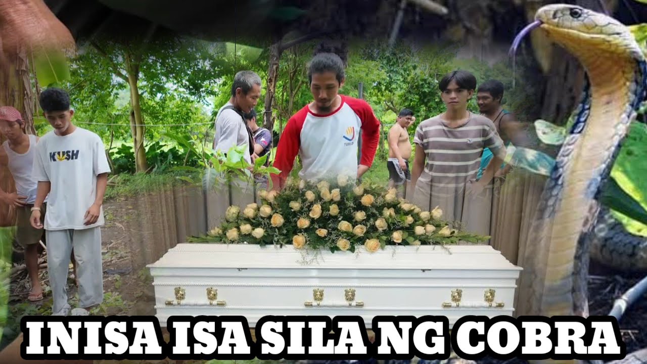 COBRA SA BUKID ANTI VENOM SA SHUDAD.