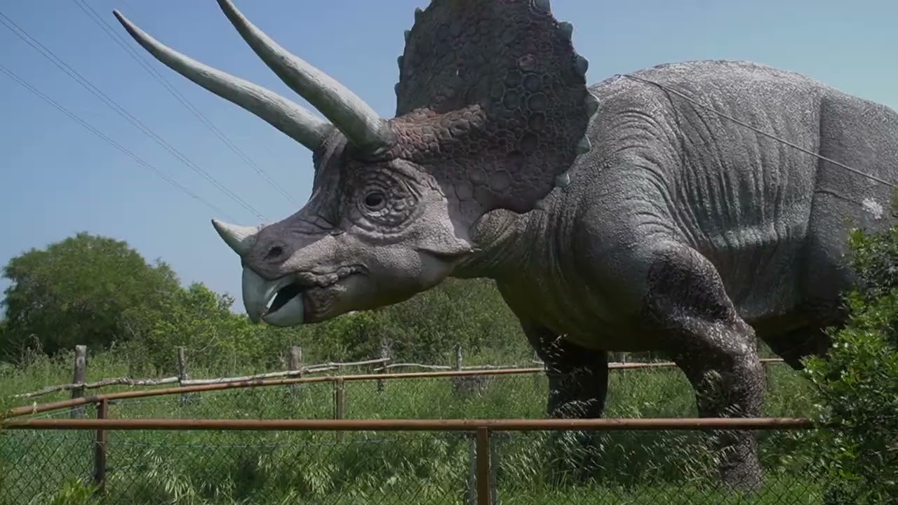 Jungla Dinosaurios  Oliva