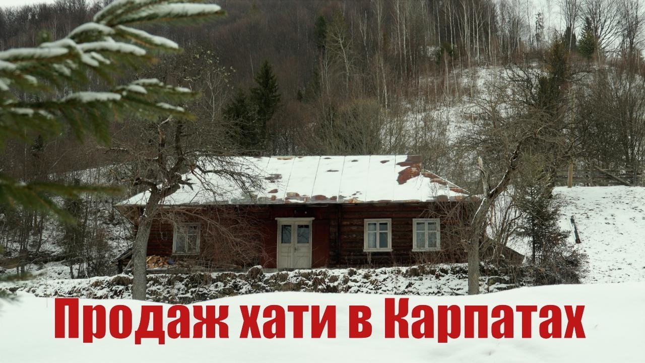 Продаж хати в Карпатах, огляд господарки з великою земельною ділянкою.