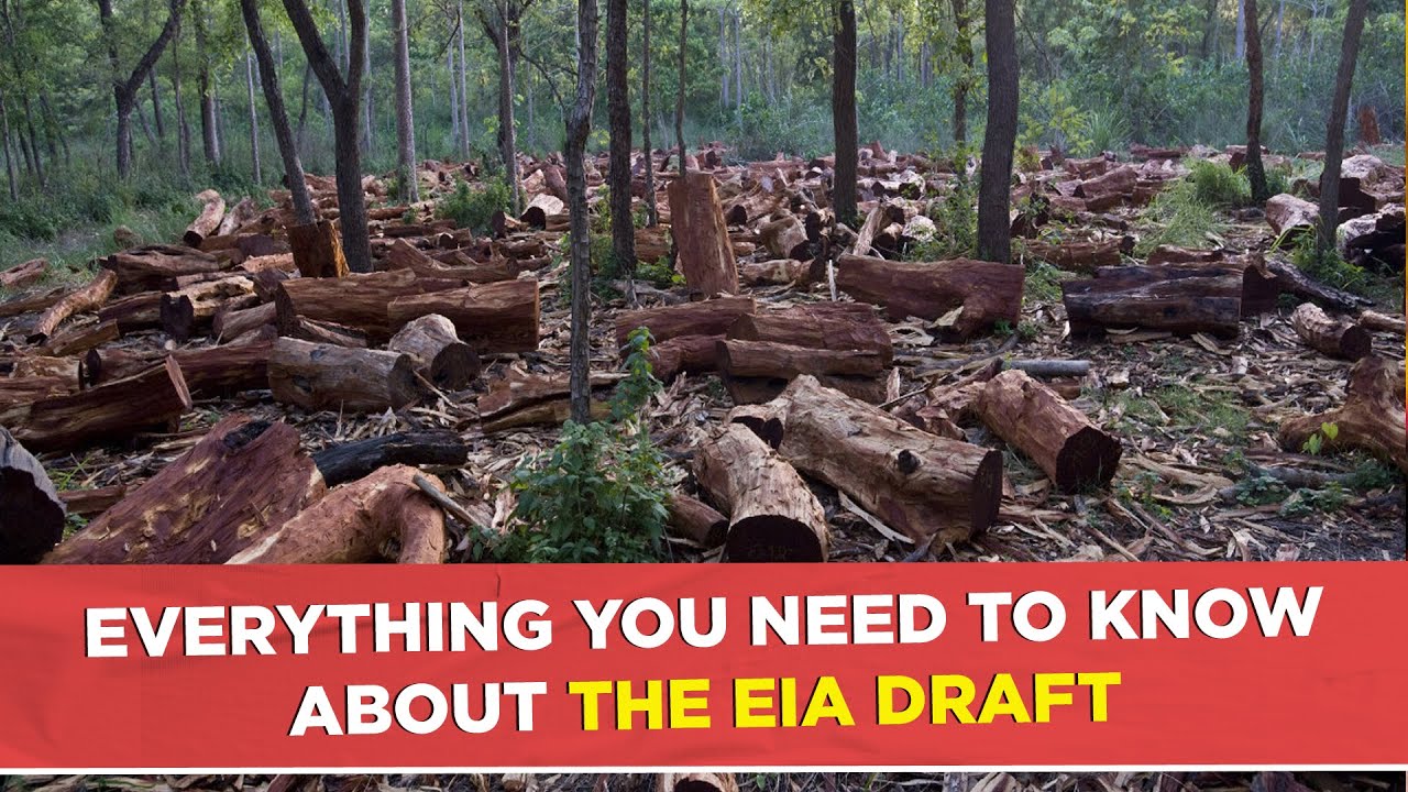 EIA Draft 2020: Everything You Need To Know About The New EIA Draft