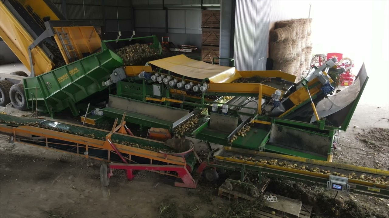 Combiné DEWAELE BRICHE Un rouleau séparateur/ Tapis tétine - Oignons/ Betteraves/Pommes de Terre.