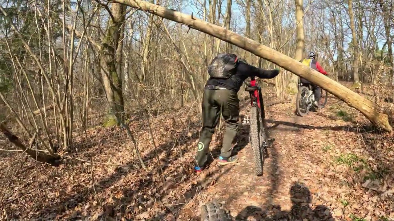 Sonntags in Salzgitter - Emtb Tour durch den Höhenzug