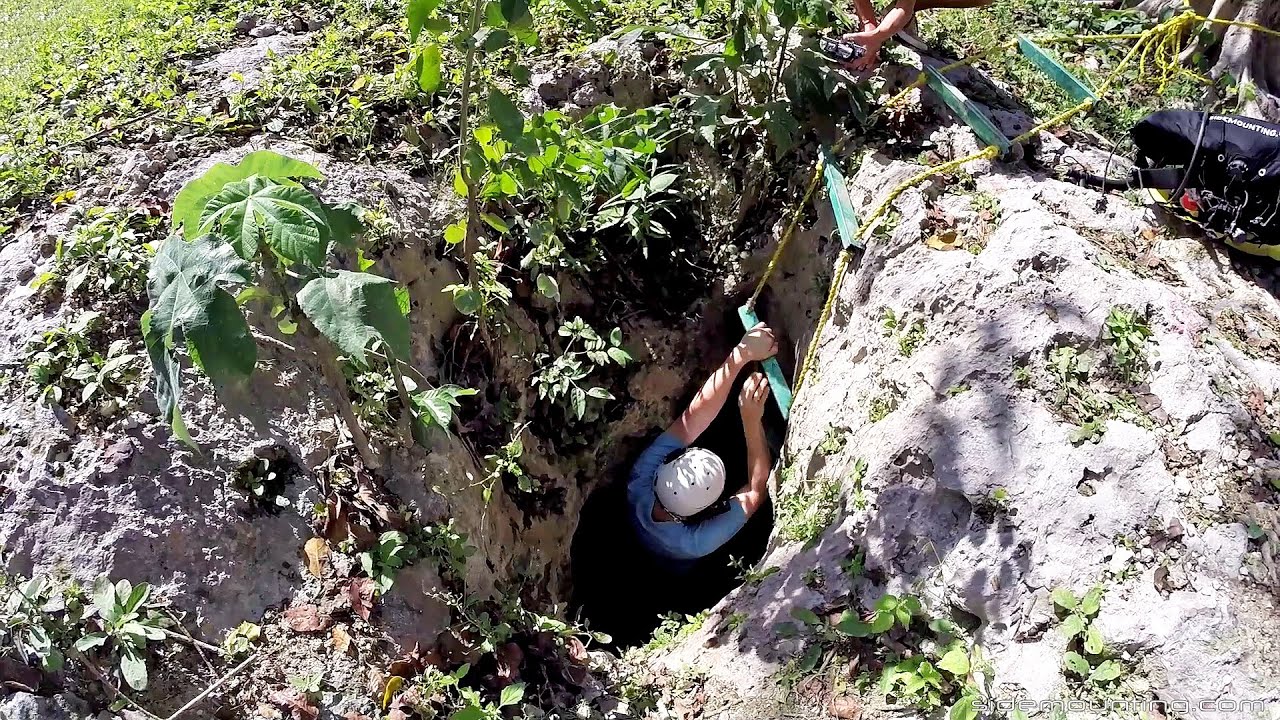 Cenote Palomita 