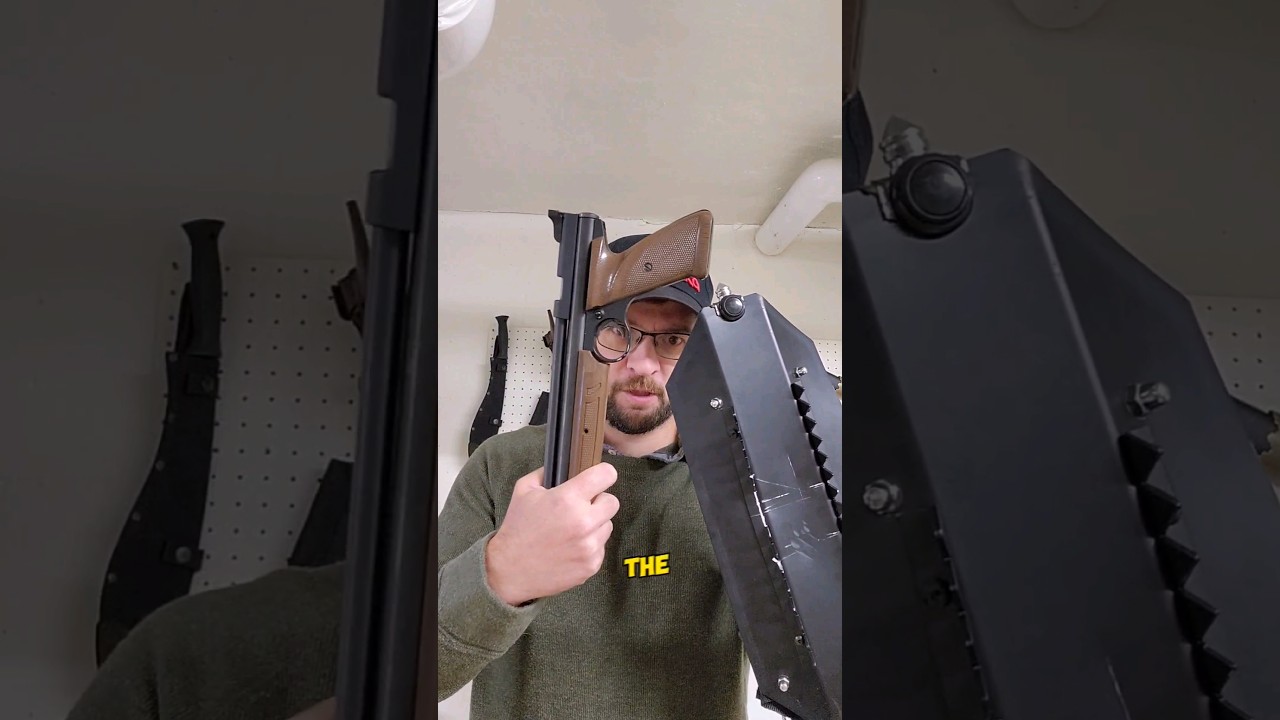 Tactical Self-Defense Shield vs .177 Airgun. #test #education #selfdefense #selfcare #nerd