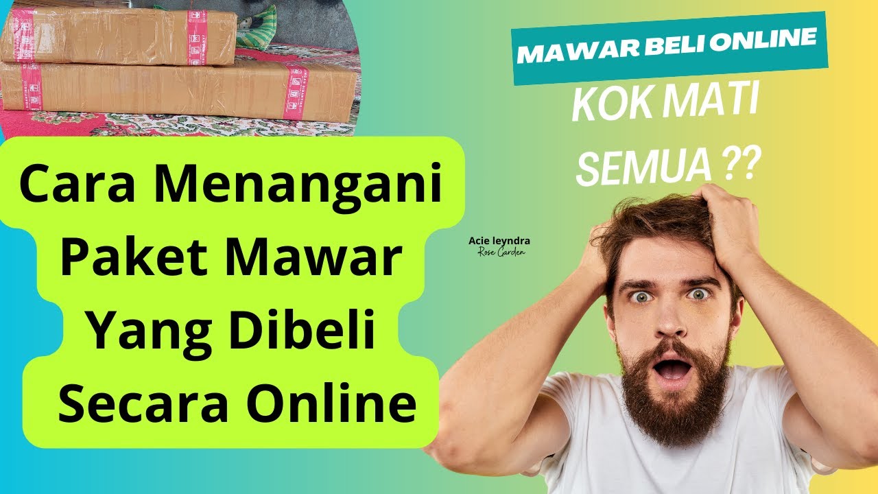 Cara Menangani Mawar Yang Dibeli Secara Online // Tips Menanam Mawar Yang Dibeli Online