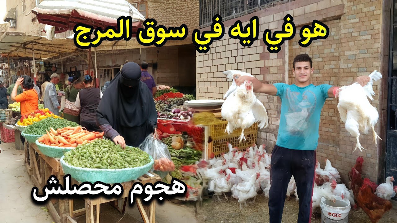 سوق المرج جنن الناس 😱 ارخص من كده مافيش هجوم على اسعار الفراخ والبط والسمك 🏃
