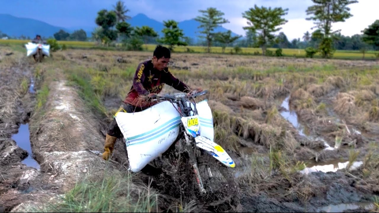 Sawah berlumpur dan sangat sulit mencari akses jalan keluar