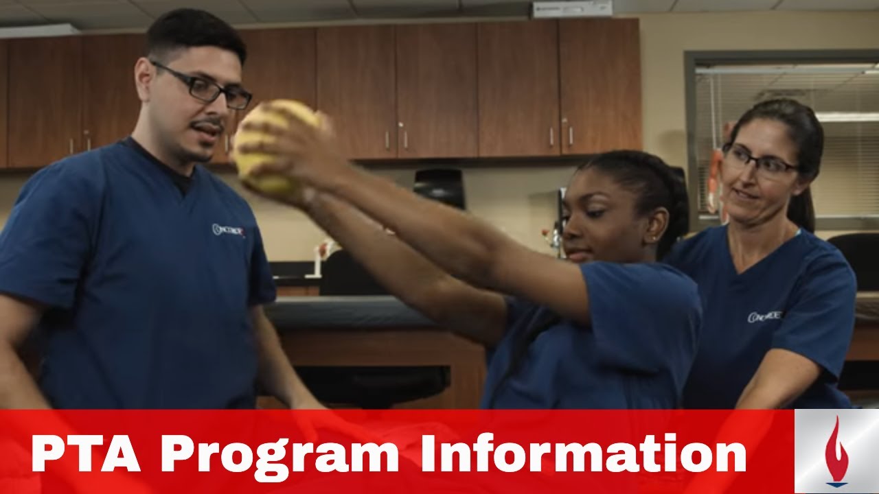 Physical Therapist Assistant Program Information | Concorde Career College