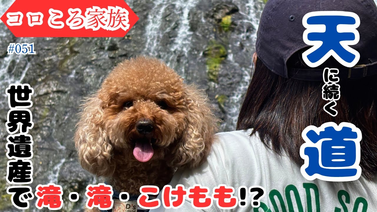 #051 天に続く道