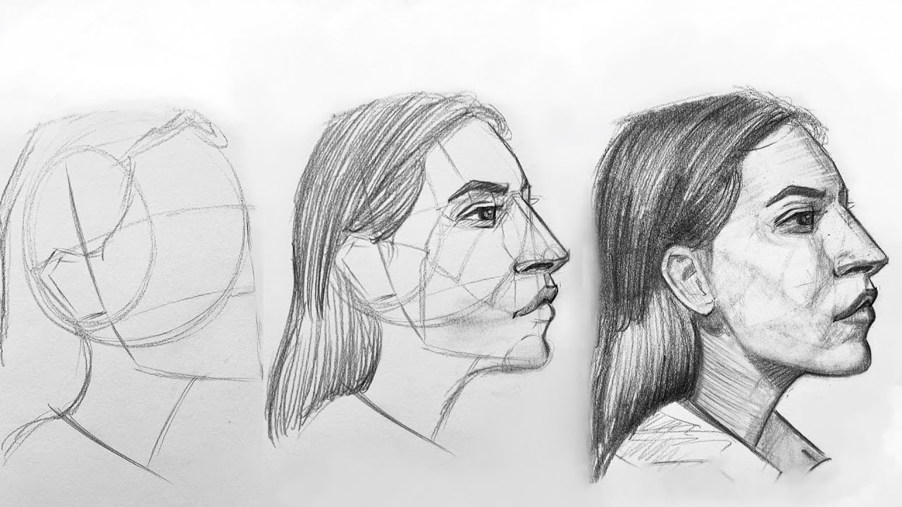 Learn to Easily Sketch a Portrait | The Loomis & Asaro Methods