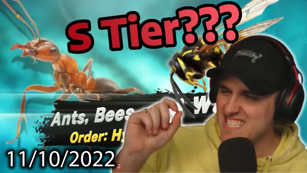Coney Looks at The Definitive Insect Tier List (11/10/22)