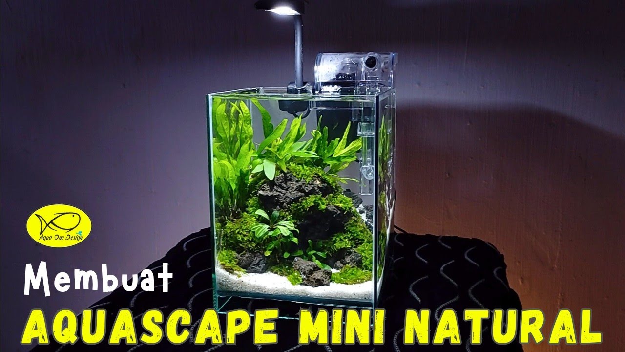 Menghias aquarium mini menjadi Aquascape tema natural | Aqua One Design