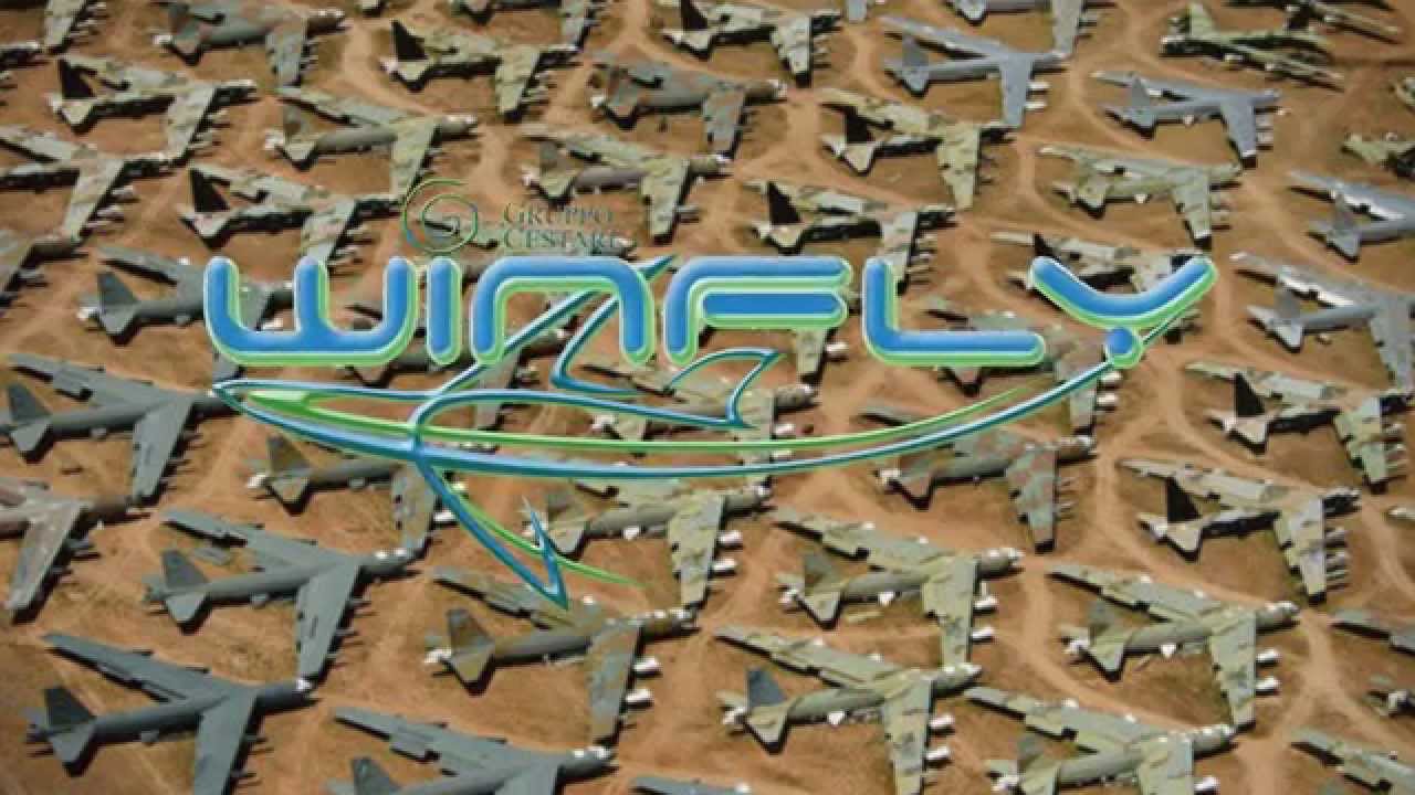Winfly - Compagnia Aerea