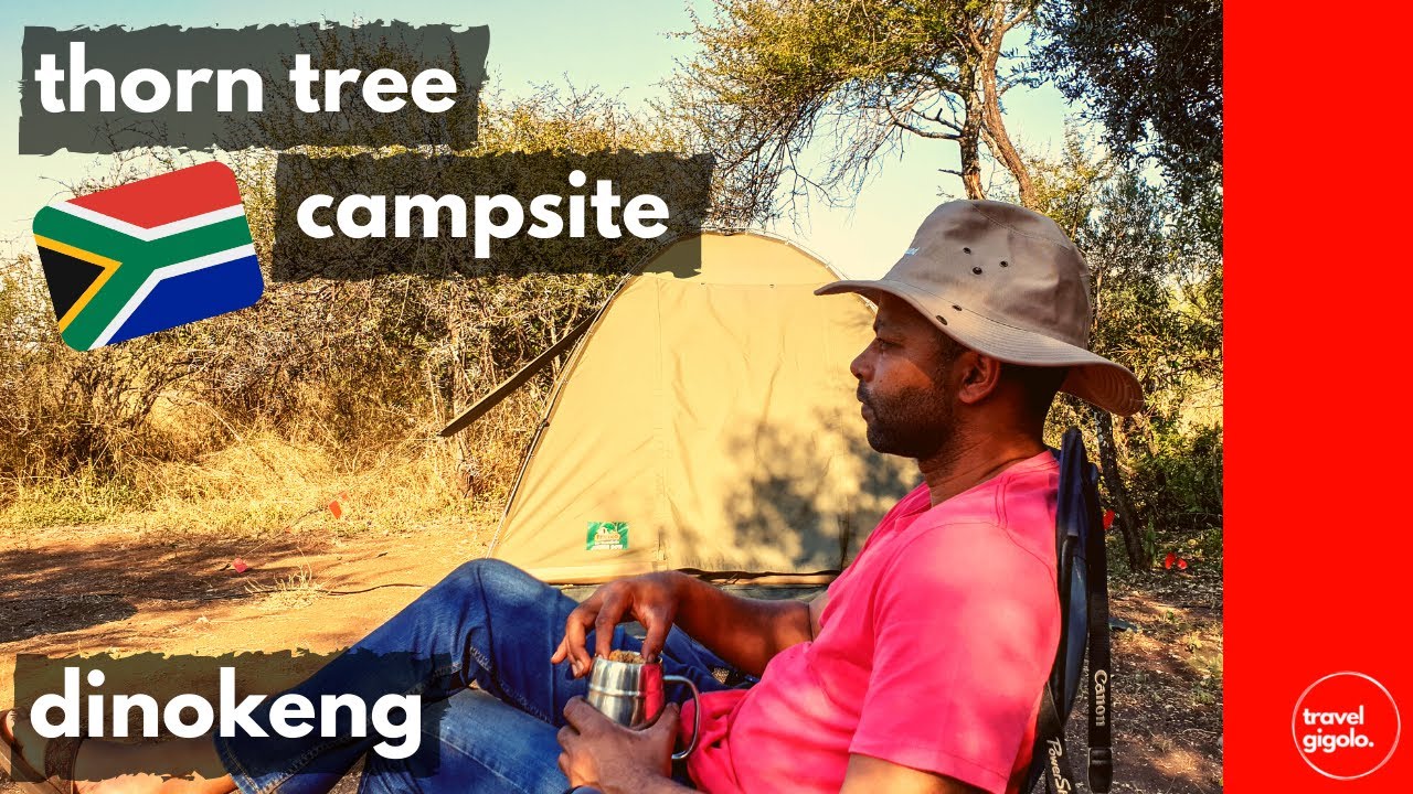Обзор кемпинга: лагерь Thorn Tree Bush Camp, заповедник Динокенг (Гаутенг) [Южная Африка, самосто...