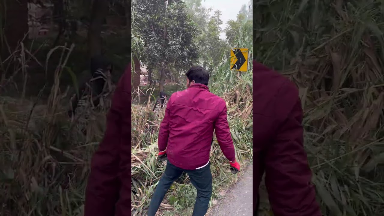 कितना भयानक जंगल हो गया था टर्निंग के पास 😱😱😱🙏।। खतरनाक मोड।।😱😊💐#vlog #viralvideos 